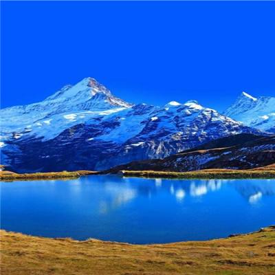 南宫体育app下载下载手机版