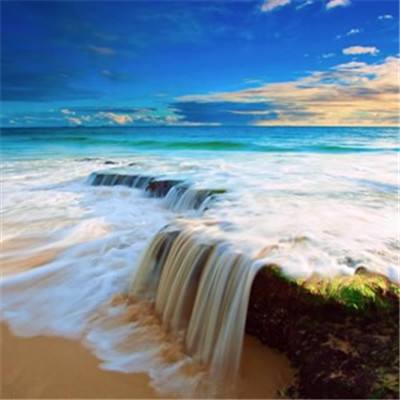 新188app官网下载截图