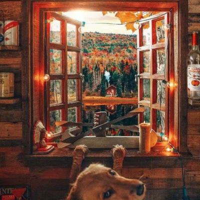 助赢软件app下载